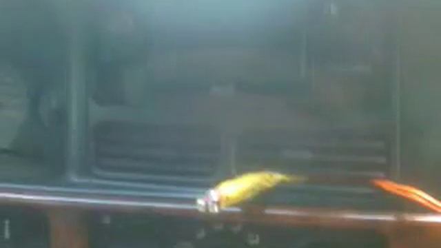 Работа соленоидов АКПП AW4 - светодиоды подсоеденены к соленоидам. смотреть онлайн