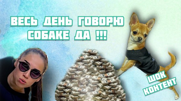 24 говорю собаке ДА