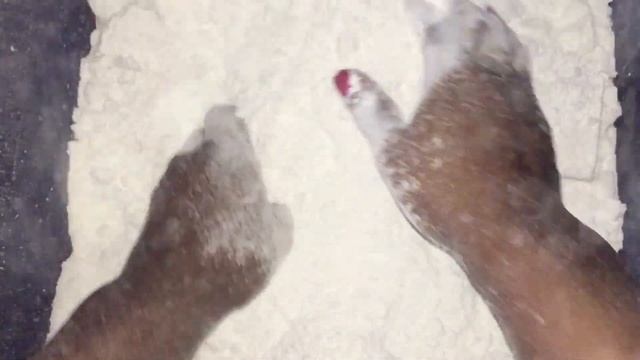 16 Fresh Blocks 8 Ader 4 Picsi 4 broken blocks of Sport Smith Chalk and Thunder смотреть онлайн