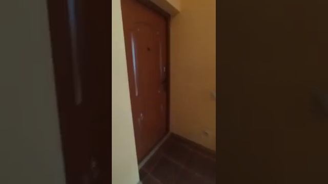 В аренду квартира в Новосибирске Алтайская 12/1 смотреть онлайн