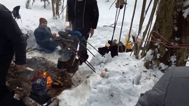 Скауты ведут репортаж из леса смотреть онлайн