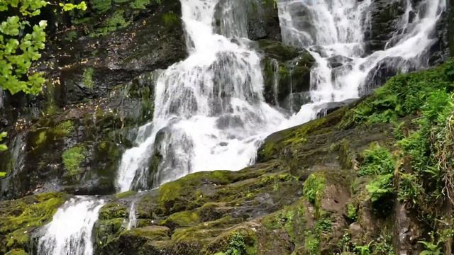 Beautiful relaxation music for sleep смотреть онлайн