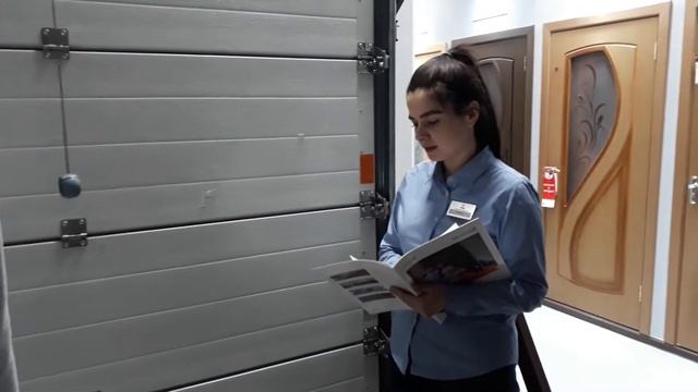 Выбор подъемно-секционных ворот смотреть онлайн