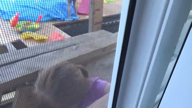 Проводили Ирину // Куда будут поступать Вика и Антон // 5.07.20.