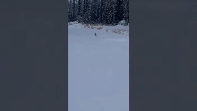 9 апреля 2023 г. смотреть онлайн