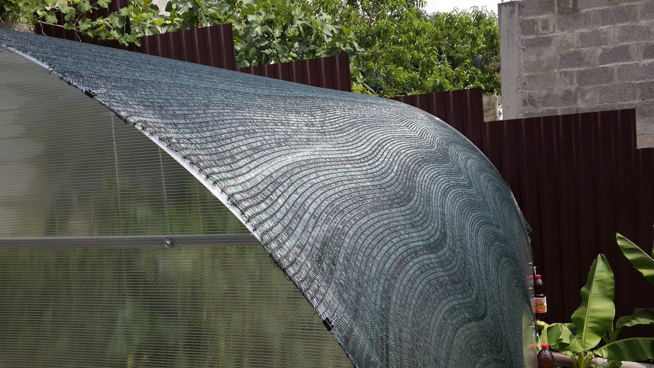 Установка затеняющей сетки на теплицу увеличивает урожай овощей смотреть онлайн