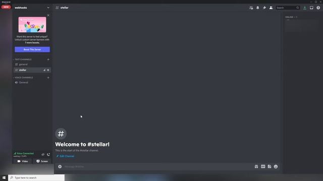 StellarAIO Discord Webhook Guide смотреть онлайн