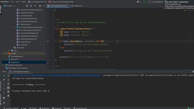Chapter 4: String Operators смотреть онлайн