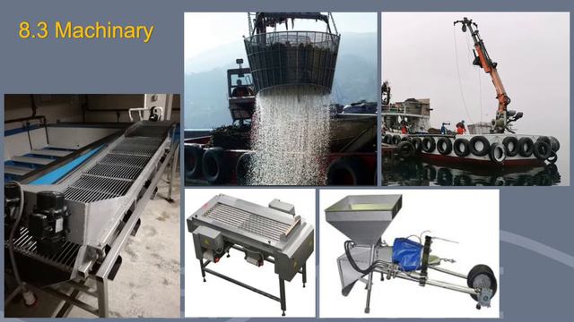 Training session 8 : TOOLS, MACHINARY AND INNOVATIONS смотреть онлайн