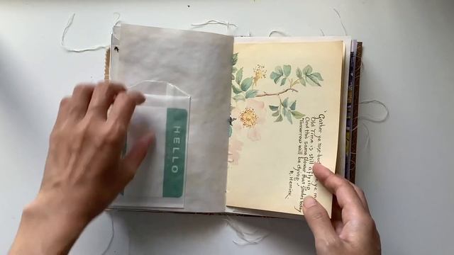 Purple botanical journal смотреть онлайн