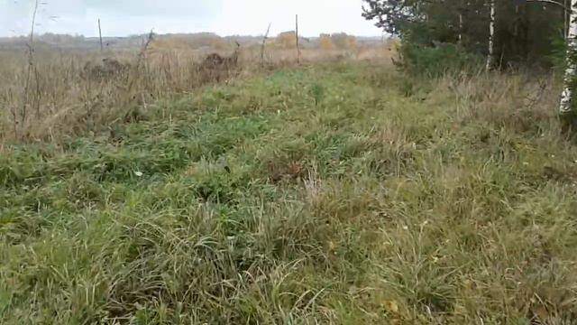 Моя пасека. Природа на селе осенью.Осенний пруд с водопадом. смотреть онлайн