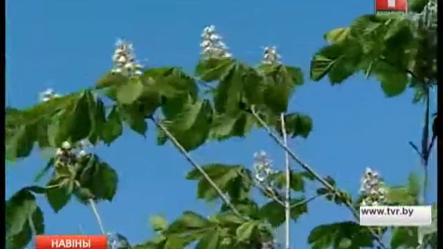 Осеннее дыхание весны смотреть онлайн