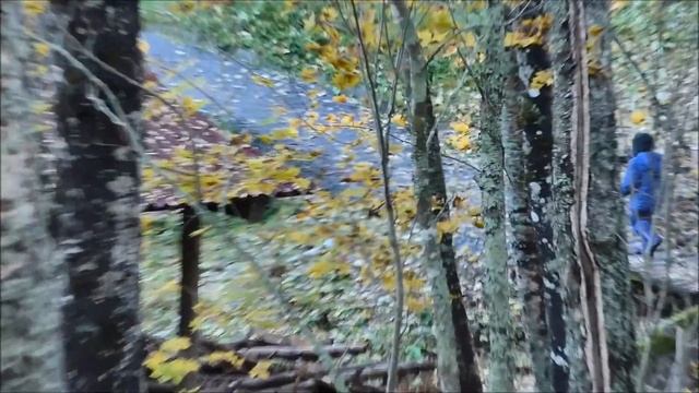 Отдых в Карелии, полуостров Харвиа смотреть онлайн