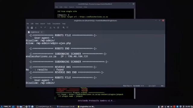BadMod v2.0 – Detect Website CMS, Website Scanner & Auto Exploiter смотреть онлайн