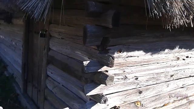 Киев 163, Музей Пироговского смотреть онлайн