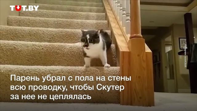 Сэм и особенная Скутер: парень из США приютил парализованную кошку. Он даже помогает с туалетом! смотреть онлайн