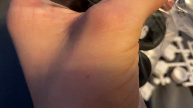 1969 Ford Torino Unboxing!!!