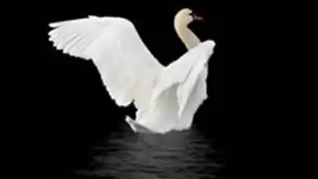 Peter Iljitsch Tschaikowsky - Drei Stücke aus "Schwanensee" смотреть онлайн