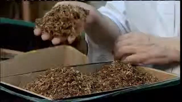 Среда обитания Табачный заговор смотреть онлайн