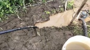 Абиссинкаска скважина против артезианской, что лучше?