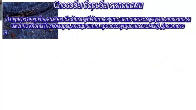 Клопы, методы борьбы с ними! смотреть онлайн
