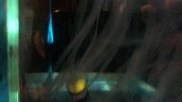 Коридорас Пигмей (Corydoras pygmaeus). Разведение