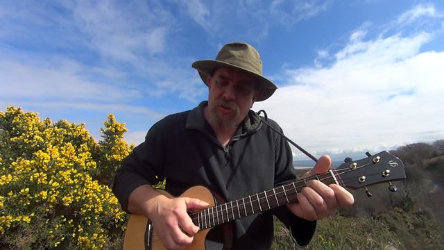 I NEED A DOLLAR by Aloe Blacc Ukulele Cover (baritone) смотреть онлайн