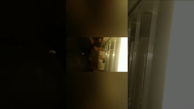 Будни в декабре 2021 года. Вывод цыплят в зиму , первый опыт. смотреть онлайн