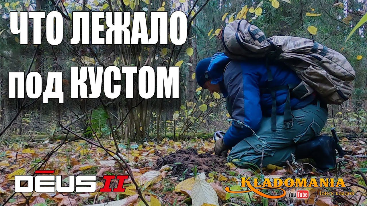 В лес за МОНЕТАМИ. Что лежало под КУСТОМ. КЛАДОМАНИЯ смотреть онлайн