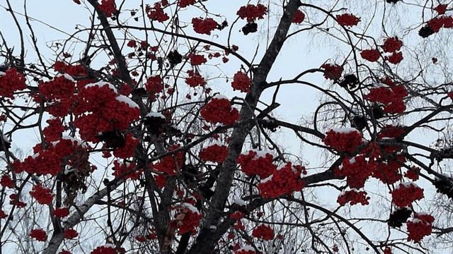 Как встретить настоящего мужчину. смотреть онлайн