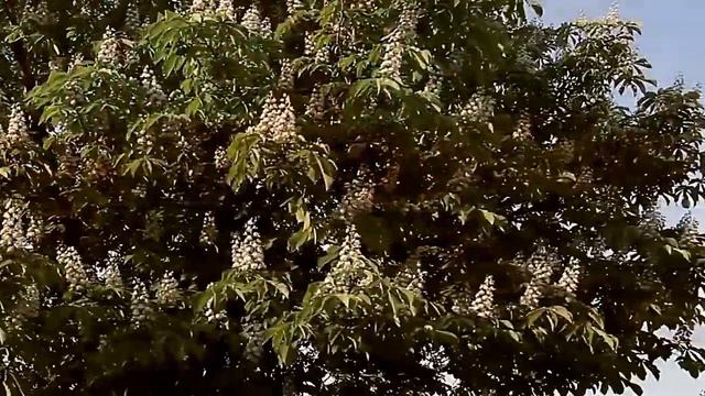 И ЗНАЕМ И ПОМНИМ смотреть онлайн