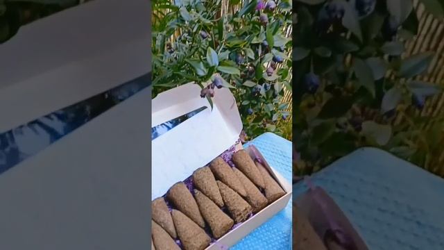 Волшебные Свечи Сурабхи. Функция Сурабхи в Свечах. Гави смотреть онлайн