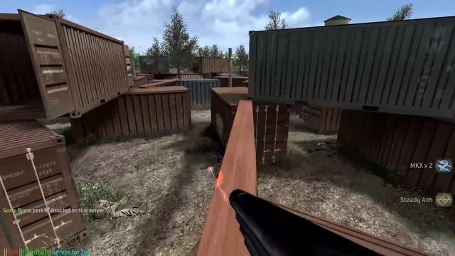 Call of Duty 4 Paintball Mod in 2023 смотреть онлайн