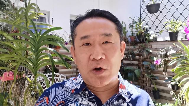 REVELADA A PLANTA SAGRADA QUE AJUDA CIRCULAÇÃO CEREBRAL | Dr. Peter Liu смотреть онлайн