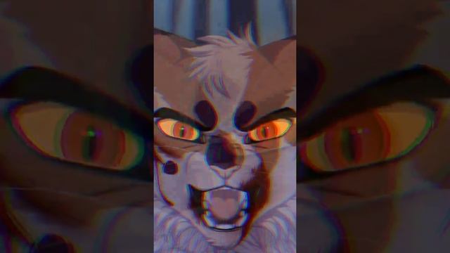 /коты-воители/Тик Ток/ смотреть онлайн