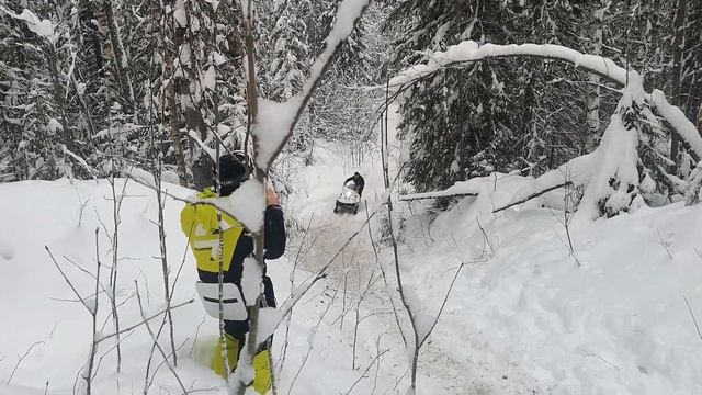 тайга варяг 550 в гору. под гуслей лёд. смотреть онлайн