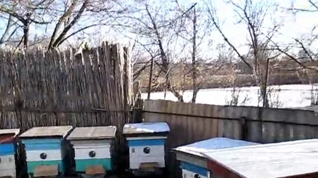 Щурки на пасеке смотреть онлайн