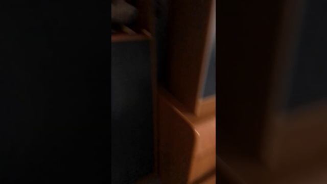 Борис и ГлеБ смотреть онлайн