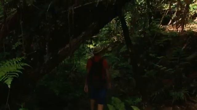 02 Сады мира смотреть онлайн