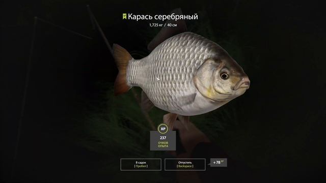 Поймал 50 штук ЁРШиков / Со дна Русской рыбалки. ( Russian Fishing 4/Русская рыбалка 4 ) смотреть онлайн