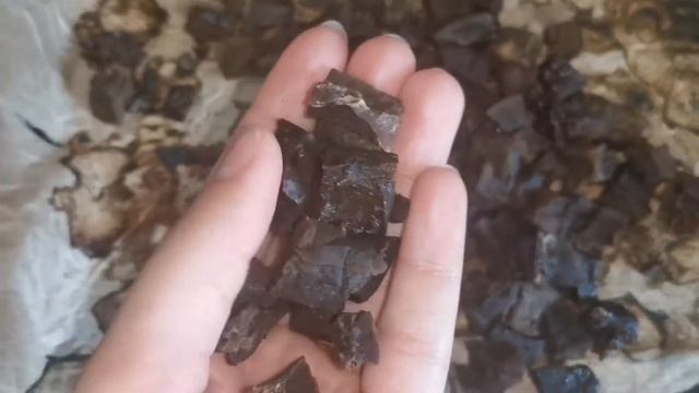 Готовим полезное, натуральное лакомство для собак|Говяжья печень|Выпуск #13 смотреть онлайн