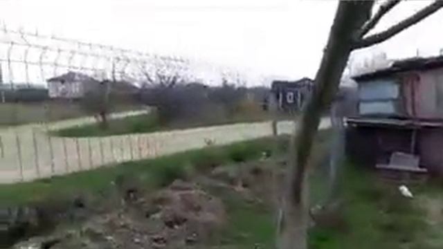 #дача я #посадил #крыжовник и #лук #капусту на улице 25 03 2023 смотреть онлайн