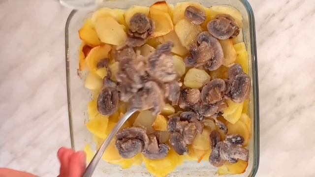 Здоровый Образ Жизни