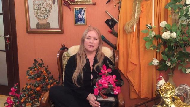 Пионы фэншуй для активизации цветка романтики смотреть онлайн