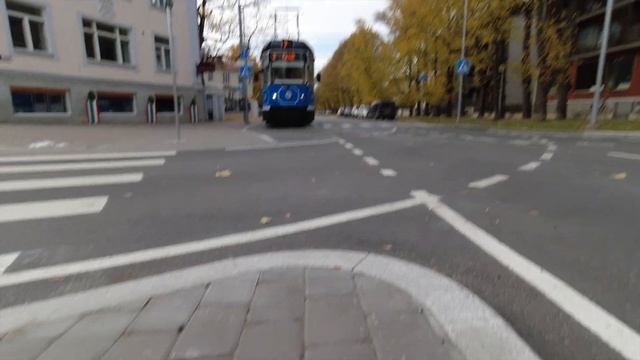 Walk in Kadriorg Park Tallinn, Estonia! Slow Travel 2021 смотреть онлайн