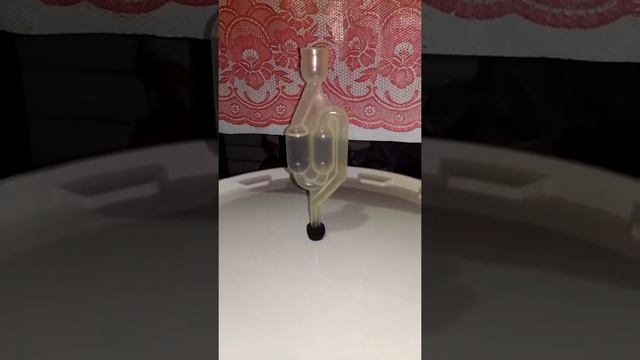 Дрожжи fermentis safale us-05. Брожение дрожжей us-05 на первые сутки. смотреть онлайн