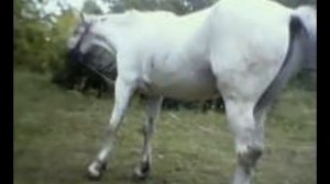 мы знакомы много лет