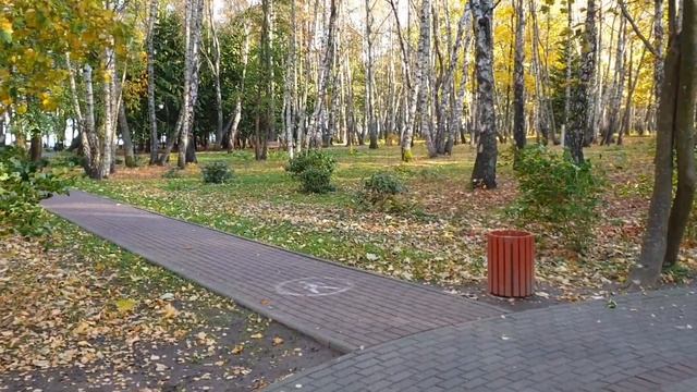 Светлогорск. Новый Лифт в Светлогорске. Калининградская область. смотреть онлайн