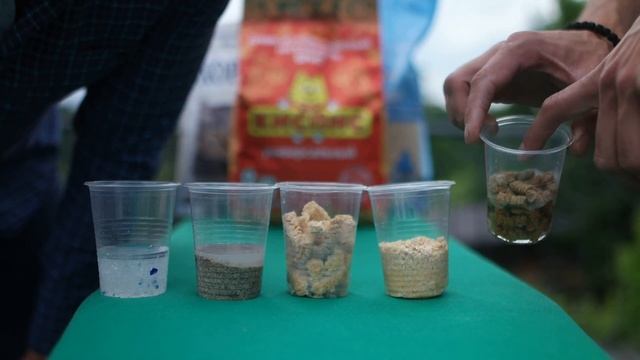 КисПис. Сравнение кошачьих наполнителей смотреть онлайн