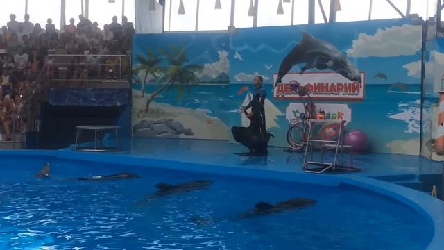 Морской котик 4 смотреть онлайн